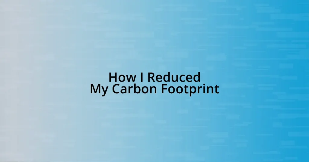 How I Reduced My Carbon Footprint