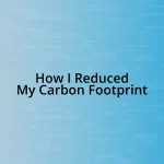 How I Reduced My Carbon Footprint