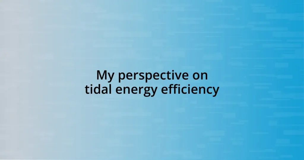 My perspective on tidal energy efficiency