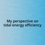 My perspective on tidal energy efficiency