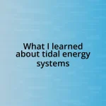 What I learned about tidal energy systems