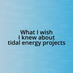 What I wish I knew about tidal energy projects