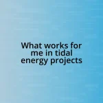 What works for me in tidal energy projects